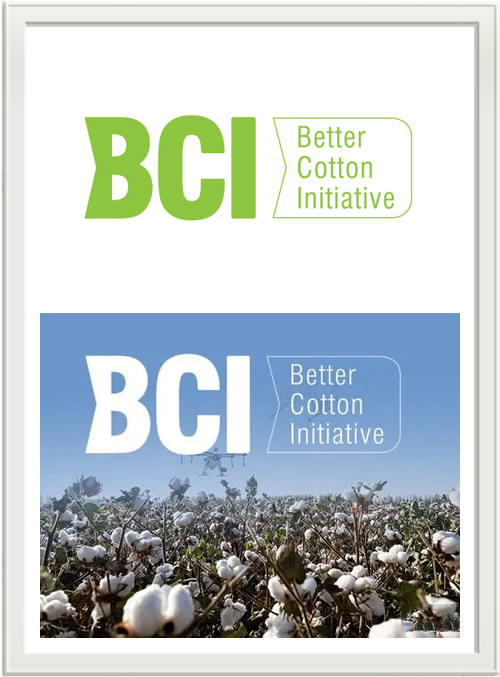 BCI international cotton association